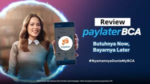 Review Paylater BCA