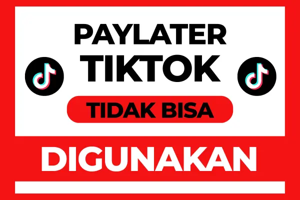 6 Penyebab Paylater TikTok Tidak Bisa Dipencet